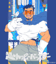 Rule 34 | 1boy, :d, absurdres, bara, bird, bird on hand, blue cape, borrowed character, cape, clothes lift, dark-skinned male, dark skin, facial hair, feet out of frame, gloves, goatee, goggles, highres, large hands, large pectorals, long sideburns, looking at viewer, male focus, midriff peek, muscular, muscular male, navel hair, open mouth, original, pants, pectorals, shirt lift, sideburns, smile, solo, stubble, thick eyebrows, track pants, translation request, white gloves, wind, yanoap