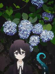 Rule 34 | 1girl, asymmetrical hair, black eyes, black hair, black jacket, black ribbon, blazer, blue flower, closed mouth, collared shirt, commentary request, day, flower, hair between eyes, highres, horns, hydrangea, indie virtual youtuber, jacket, leaf, light smile, long hair, looking at viewer, low twintails, neck ribbon, nkymyura, outdoors, pale skin, portrait, ribbon, ringed eyes, school uniform, shirt, solo, stitched neck, stitches, straight-on, tentacles, twintails, virtual youtuber, wall, white shirt, yamata ia