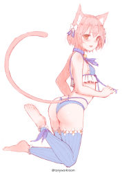Rule 34 | 10s, 1boy, absurdres, animal ears, ankle ribbon, ass, bare arms, bare shoulders, barefoot, blue bra, blue neckwear, blue panties, blue ribbon, blue thighhighs, blush, bob cut, body blush, bolo tie, bow, bra, breasts, brown eyes, brown hair, cat boy, cat ears, cat tail, choker, commentary request, eyes visible through hair, facebook username, feet, feet up, felix argyle, frilled bra, frilled thighhighs, frills, from side, front-tie top, full body, hair between eyes, hair bow, hair ribbon, hatching (texture), highleg, highleg panties, highres, jewelry, leg ribbon, looking at viewer, looking to the side, male focus, open mouth, pale color, panties, parted bangs, pendant, pinky out, plantar flexion, re:zero kara hajimeru isekai seikatsu, ribbon, shiny skin, short eyebrows, short hair, simple background, sketch, skindentation, sleeveless, slit pupils, small breasts, solo, spaghetti strap, strap, striped bra, striped clothes, striped ribbon, striped thighhighs, tail, thighhighs, toeless legwear, toenails, toes, trap, underwear, vertical-striped bra, vertical-striped clothes, vertical-striped thighhighs, white background, white bow, zhaofeng yinyue