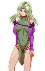 Rule 34 | 1girl, bare shoulders, breasts, cecil (wing r), collar, covered navel, dress, green dress, green eyes, green hair, half updo, highres, jacket, lamia loveless, large breasts, long hair, pelvic curtain, solo, super robot wars, super robot wars original generation, tattoo