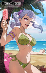 Rule 34 | 1boy, absurdres, beach, bikini, black clover, black clover m: rise of the wizard king, cowboy shot, crab, english text, food, fruit, green bikini, grey hair, highres, holding, looking at viewer, noelle silva, official alternate costume, official art, open mouth, outdoors, palm tree, popsicle, purple eyes, solo, solo focus, strawberry, swimsuit, tongue, tree, twintails