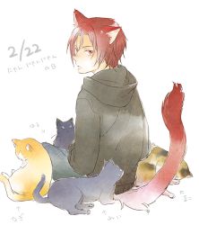 Rule 34 | 10s, 1girl, animal ears, bad id, bad pixiv id, cat, cat day, cat ears, cat tail, dated, free!, from behind, full body, looking back, male focus, matsuoka rin, red eyes, red hair, short hair, simple background, solo, tail, tame, white background