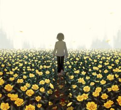 Rule 34 | 1other, ambiguous gender, arms at sides, avogado6, barefoot, black pants, blood on feet, day, field, flower, flower field, from behind, grey hair, long sleeves, male focus, medium hair, original, outdoors, pants, shirt, solo, standing, walking, white shirt, yellow flower