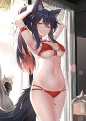 Rule 34 | 1boy, 2girls, absurdres, animal ears, arknights, armband, armpits, arms behind head, arms up, bare shoulders, bikini, black hair, breasts, bunching hair, choker, cleavage, cowboy shot, doctor (arknights), extra ears, front-tie bikini top, front-tie top, halterneck, highres, lappland (arknights), long hair, looking at viewer, medium breasts, mirufuaa, multi-strapped bikini, multicolored hair, multiple girls, navel, o-ring, o-ring bikini, orange eyes, ponytail, red bikini, red choker, solo focus, standing, stomach, string bikini, sweat, swimsuit, tail, texas (arknights), thighs, two-tone hair, wolf ears, wolf girl, wolf tail