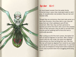 Rule 34 | bug, character profile, arthropod girl, mon-musu quest!, monster girl, spider, spider girl, tagme, text focus, translated, un do