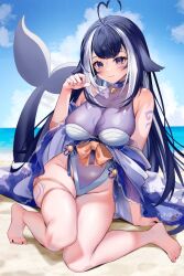 Rule 34 | 1girl, ahoge, animal ears, bare hips, bare shoulders, barefoot, beach, belt collar, black hair, blue collar, body markings, breasts, cetacean tail, chest tattoo, cleavage, closed mouth, collar, covered collarbone, covered navel, facial tattoo, feet, fins, fish tail, floppy ears, heart, heart ahoge, highres, impossible clothes, impossible swimsuit, indie virtual youtuber, large breasts, leg tattoo, legs, long hair, looking at viewer, multicolored hair, nail polish, ocean, one-piece swimsuit, orca girl, outdoors, purple eyes, see-through, see-through cleavage, see-through swimsuit, shylily, shylily (3rd costume), sidelocks, sitting, smile, solo, spread toes, streaked hair, swimsuit, tail, tattoo, toenail polish, toenails, toes, virtual youtuber, yuniiho