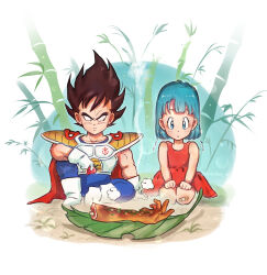 Rule 34 | 1boy, 1girl, absurdres, aged down, alternate universe, amachu a, armor, artist name, bamboo, bandaid, bandaid on knee, bandaid on leg, blue eyes, blue hair, boots, brown hair, bulma, cape, child, commentary, dragon ball, dragonball z, dress, gloves, highres, leaf, red cape, red dress, saiyan armor, seiza, severed arm, severed limb, shoulder armor, sitting, trembling, vegeta, white footwear, white gloves