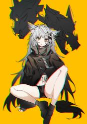 Rule 34 | 1girl, animal ear fluff, animal ears, aonogura, arknights, black coat, black jacket, black shorts, chromatic aberration, coat, grey eyes, hair ornament, hairclip, highres, jacket, lappland (arknights), long hair, looking at viewer, scar, scar across eye, scar on face, shorts, silver hair, simple background, solo, wolf ears, yellow background