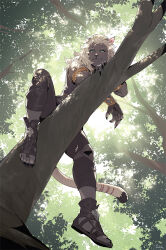 Rule 34 | 1girl, branch, byuub, claws, day, final fantasy, final fantasy xiv, from below, furry, furry female, grey fur, hrothgar, looking at viewer, nature, on branch, outdoors, smile, solo, sunlight, tail, toeless footwear, tree, warrior of light (ff14), white hair