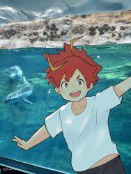 Rule 34 | 1boy, absurdres, aquarium, black shorts, blush, commentary request, highres, izumi (tamacolle), male focus, multicolored hair, open mouth, outstretched arms, phmrn, photo (medium), porpoise, red eyes, red hair, shirt, shorts, sparkle, spread arms, streaked hair, tamacolle, twitter username, white shirt