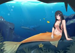 Rule 34 | 1girl, artist request, black hair, breasts, breasts day, collarbone, commentary request, completely nude, fins, fish, hair over breasts, highres, humpback whale, izumi umiko, jewelry, large breasts, long hair, mermaid, monster girl, navel, nude, original, purple eyes, ring, second-party source, solo, starfish, underwater, very long hair, wedding ring, whale
