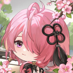 Rule 34 | 1girl, cherry blossoms, chibi, clothes, covered eyes, earrings, flower, hair ornament, hair over one eye, hairclip, jewelry, long sleeves, looking at viewer, outdoors, pink eyes, pink hair, purple eyes, taoqi (wuthering waves), tree, wuthering waves, yuden6969