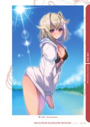 Rule 34 | absurdres, akaga hirotaka, arcana heart, arcana heart 3, bikini, bikini top only, blue sky, blush, breasts, cleavage, closed mouth, cloud, day, green hair, highres, hood, hood down, jacket, long sleeves, looking at viewer, medium breasts, official art, outdoors, page number, red eyes, shiny skin, short hair, sky, solo, sunlight, swimsuit, thighs, water, weiss