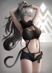 Rule 34 | 1girl, :/, absurdres, animal ear fluff, animal ears, arknights, armpits, arms up, bare legs, belt, black belt, black scarf, black shorts, breasts, buckle, cat ears, cat tail, cleavage, closed mouth, commentary, cowboy shot, crop top, female pubic hair, grey background, groin, hair between eyes, hair over one eye, highres, krirk, large breasts, long hair, looking at viewer, midriff, navel, no jacket, open belt, open fly, ponytail, pubic hair, scarf, schwarz (arknights), short shorts, shorts, silver hair, simple background, snap-fit buckle, solo, standing, striped clothes, striped scarf, tail, tying hair, unbuckled, unbuttoned, underbust, unzipped, yellow eyes, zipper