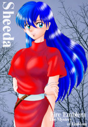 Rule 34 | 1girl, aqua eyes, bare tree, blue eyes, blue hair, caeda (fire emblem), character name, copyright name, eyebrows, female focus, fire emblem, hissaa (starlight express), long hair, looking at viewer, matching hair/eyes, nintendo, outdoors, photo background, side slit, sky, solo, tree