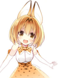 Rule 34 | 10s, 1girl, 2017, :d, animal ears, artist name, bare shoulders, blush, bow, bowtie, brown eyes, cross-laced clothes, dated, elbow gloves, eyelashes, gloves, hair between eyes, karory, kemono friends, looking at viewer, no nose, open mouth, orange hair, ribbon-trimmed clothes, ribbon-trimmed skirt, ribbon trim, serval (kemono friends), serval print, shirt, short hair, simple background, skirt, sleeveless, sleeveless shirt, smile, solo, tareme, upper body, white background, white shirt