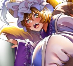 Rule 34 | 1boy, 1girl, animal hat, blonde hair, blush, breasts, dress, fox tail, frilled shirt collar, frills, hair between eyes, hat, huge breasts, large breasts, long sleeves, looking back, mob cap, multiple tails, open mouth, short hair, solo focus, sweat, tabard, tail, teeth, tongue, touhou, upper body, upper teeth only, white dress, white headwear, wildcat (kusonemi), yakumo ran, yellow eyes