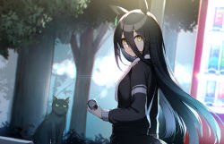 Rule 34 | 1girl, animal ears, black cat, black hair, black jacket, blurry, blurry background, can, cat, commentary request, ear tag, from side, hair between eyes, highres, holding, holding can, horse ears, horse girl, jacket, kagerou (gigayasoma), long hair, long sleeves, looking at viewer, looking to the side, manhattan cafe (umamusume), outdoors, parted lips, resolution mismatch, solo, source smaller, towel, towel around neck, tree, umamusume, upper body, vending machine, very long hair, yellow eyes