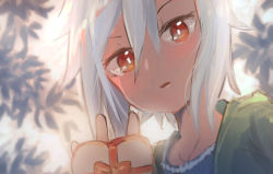 Rule 34 | 1girl, backlighting, blush, dutch angle, gift, hand up, inami hatoko, looking at viewer, open mouth, original, portrait, red eyes, silver hair, sketch, solo, valentine