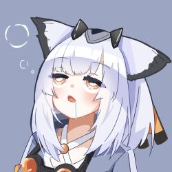 Rule 34 | 1girl, arknights, blue background, bright pupils, dot nose, drooling, grey shirt, headgear, itto nito, lowres, medium hair, open mouth, orange eyes, owl ears, owl girl, ptilopsis (arknights), shirt, squeans, solo, thick eyelashes, upper body, white hair, white pupils