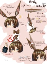 Rule 34 | 1girl, ?, afterimage, amiya (arknights), animal ears, arknights, arrow (symbol), blue eyes, brown hair, character name, chinese text, commentary request, ear wiggle, grabbing another&#039;s ear, grabbing another's ear, hair between eyes, hand up, holding by the ears, holding ears, how to, jewelry, looking up, measuring, motion lines, rabbit ears, rabbit girl, ring, ruler, scaleph, simplified chinese text, tearing up, translation request