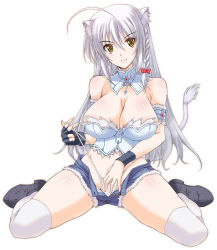 Rule 34 | 10s, 1girl, ahoge, animal ears, braid, breasts, briest2001, bustier, cat ears, cat girl, cat tail, cleavage, dog days, fingerless gloves, gloves, highres, large breasts, leonmitchelli galette des rois, long hair, panties, short shorts, shorts, side braid, silver hair, simple background, single braid, sitting, skindentation, solo, tail, thighhighs, underwear, white background, white thighhighs, yashima tetsuya, yellow eyes