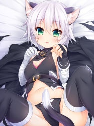 Rule 34 | 1girl, absurdres, animal ears, bandaged arm, bandages, bare shoulders, between legs, black panties, black thighhighs, blush, cat ears, cat tail, fate/apocrypha, fate/grand order, fate (series), gloves, green eyes, highres, jack the ripper (fate/apocrypha), kemonomimi mode, looking at viewer, navel, open mouth, panties, paw pose, scar, short hair, silver hair, smile, solo, tail, tail between legs, thighhighs, underwear, wakagi repa