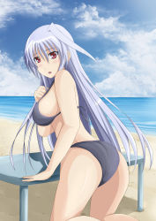 Rule 34 | 1girl, :o, absurdres, ass, beach, bikini, blush, breasts, cloud, day, highres, inoshira, kneeling, large breasts, long hair, looking back, lyrical nanoha, mahou shoujo lyrical nanoha, mahou shoujo lyrical nanoha a&#039;s, ocean, outdoors, red eyes, reinforce, sideboob, silver hair, sky, solo, swimsuit, table