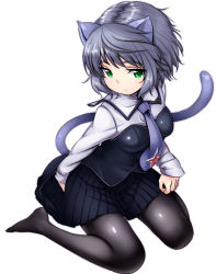 Rule 34 | 1girl, animal ears, cat ears, cat tail, green eyes, necktie, pantyhose, sanya v. litvyak, short hair, silver hair, sitting, skirt, solo, strike witches, tail, wariza, world witches series, zizi (zz22)