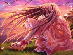 Rule 34 | 1girl, airi (quilt), bird, bow, carnelian, checkered bow, checkered clothes, checkered dress, dress, feet, game cg, quilt, quilt (game), sandals, seagull, sky, solo, sunset, twintails, two side up