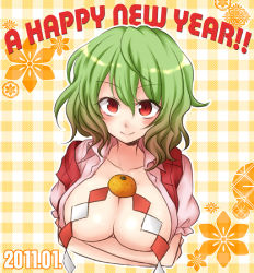 Rule 34 | 10s, 1girl, 2011, breast hold, breasts, cleavage, female focus, food, fruit, green hair, kazami yuuka, large breasts, looking up, mandarin orange, mokku, new year, open clothes, open shirt, oppai mochi, red eyes, shide, shirt, short hair, smile, solo, touhou, upper body