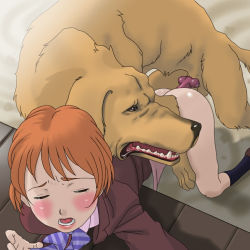 Rule 34 | 00s, 1girl, animal penis, bent over, bestiality, blush, bottomless, brown hair, chutaro, dog, doggystyle, closed eyes, from above, futari wa precure, golden retriever, jukan a no 3, kneeling, knotted penis, misumi nagisa, no panties, open mouth, penis, precure, school uniform, sex, sex from behind, short hair, vaginal, yoshino momiji