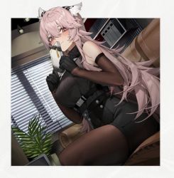 Rule 34 | 1girl, animal ears, blush, box, box of chocolates, breasts, cabinet, cat ears, cat girl, commentary request, couch, file, file cabinet, girls&#039; frontline, girls&#039; frontline neural cloud, large breasts, long hair, pantyhose, persica (girls&#039; frontline), persicaria (neural cloud), pink hair, plant, potted plant, red eyes, solo, vinegar kira