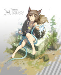 Rule 34 | 1girl, animal ears, arknights, barefoot, belt, bottle, brown eyes, brown hair, character name, chestnut mouth, hair between eyes, highres, holding, hose, looking at viewer, observerz, one-piece swimsuit, open mouth, outstretched arm, shaw (arknights), short hair, sitting, solo, spray bottle, squirrel ears, squirrel tail, stairs, swimsuit, tail, water