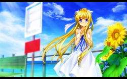 Rule 34 | 00s, 1girl, air (visual novel), blonde hair, blue eyes, day, dress, female focus, flower, kamio misuzu, key (company), letterboxed, long hair, mutsuki (moonknives), nature, outdoors, own hands together, sky, smile, solo, sundress, sunflower, very long hair, wallpaper, wind