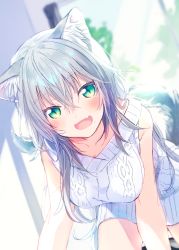 Rule 34 | 1girl, all fours, animal ears, aran sweater, blurry, blush, breasts, cable knit, cat ears, cat tail, day, depth of field, fang, fuji fujino, green eyes, hair between eyes, highres, indoors, long hair, looking at viewer, medium breasts, open mouth, original, silver hair, smile, solo, sweater, tail, white sweater