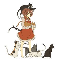 Rule 34 | 1girl, animal ears, barefoot, brown eyes, brown hair, cat, cat ears, cat tail, chen, female focus, highres, multiple tails, short hair, solo, tail, too many, too many cats, touhou, uewtsol
