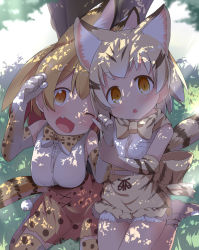 Rule 34 | 10s, 2girls, animal ears, bow, bowtie, breasts, cat ears, cat tail, commentary request, cross-laced clothes, day, elbow gloves, gloves, high-waist skirt, highres, kemono friends, large breasts, looking at viewer, makuran, multiple girls, one eye closed, outdoors, paw pose, sand cat (kemono friends), serval (kemono friends), serval print, serval tail, shirt, sitting, skirt, sleeveless, sleeveless shirt, striped tail, tail, tareme