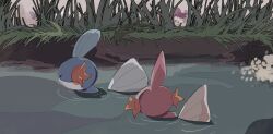 Rule 34 | alternate color, animal focus, black eyes, creatures (company), from behind, from side, game freak, gen 3 pokemon, gen 7 pokemon, grass, highres, morelull, mudkip, nintendo, no humans, outdoors, partially submerged, peeking out, pokemon, pokemon (creature), profile, ripples, river, shiny and normal, shiny pokemon, swimming, takashi (pixiv 80298118), water