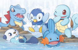Rule 34 | arms up, bird, creature, creatures (company), finni chang, game freak, gen 1 pokemon, gen 2 pokemon, gen 3 pokemon, gen 4 pokemon, gen 5 pokemon, mudkip, nintendo, no humans, one eye closed, open mouth, oshawott, penguin, piplup, pokemon, pokemon (creature), signature, smile, squirtle, swimming, totodile, water, watermark, web address, wink
