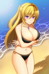 Rule 34 | 1girl, beach, bikini, black bikini, blonde hair, blush, bracelet, breasts, cleavage, collarbone, commentary, crossed arms, day, gem, hair between eyes, half updo, highres, hizuki rei, jewelry, large breasts, leaning forward, letterboxed, long hair, looking at viewer, navel, necklace, o-ring, o-ring bikini, ocean, original, purple eyes, revision, shade, shiny skin, smile, solo, standing, swimsuit, teeth, thighs, tree shade
