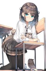 Rule 34 | 1girl, bird, black thighhighs, blue eyes, blush, brown hair, brown skirt, closed mouth, collared shirt, hair ornament, hair ribbon, hairclip, highres, holding, kneeling, looking at viewer, one side up, original, owl, pleated skirt, ranf, ribbon, school uniform, shirt, shoes, simple background, skirt, solo, thighhighs, uwabaki, white background, white shirt