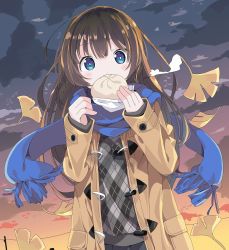 Rule 34 | 1girl, baozi, black skirt, blue eyes, blue scarf, blush, brown coat, brown hair, cloud, cloudy sky, coat, commentary request, covered mouth, duffel coat, food, fringe trim, ginkgo leaf, grey sweater, hair between eyes, hands up, highres, holding, holding food, leaf, long hair, long sleeves, open clothes, open coat, original, outdoors, plaid, plaid sweater, pleated skirt, scarf, skirt, sky, sleeves past wrists, solo, sunset, sweater, tantan men (dragon), very long hair