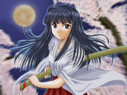 Rule 34 | aoyama motoko, black hair, japanese clothes, love hina, miko, sword, weapon