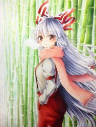 Rule 34 | 1girl, bamboo, bamboo forest, blush, bow, breasts, commentary request, cowboy shot, forest, fujiwara no mokou, hair bow, hand in pocket, highres, juliet sleeves, long hair, long sleeves, looking at viewer, medium breasts, nature, ofuda, pants, pink scarf, puffy sleeves, red eyes, red pants, scarf, shirt, silver hair, solo, standing, suspenders, touhou, traditional media, very long hair, waramori fuzuka, white bow, white shirt