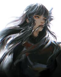Rule 34 | 1girl, black collar, black hair, blunt bangs, collar, expressionless, final fantasy, final fantasy xiv, floating hair, flower, from side, grey eyes, hair flower, hair ornament, highres, hyur, long hair, looking afar, looking ahead, norino (106592473), painterly, parted lips, realistic, red lips, simple background, solo, upper body, white background, wind, yotsuyu goe brutus