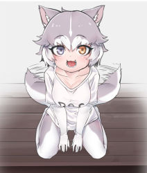 Rule 34 | 1girl, :3, adapted costume, afterimage, animal ears, between legs, blue eyes, blush, casual, collarbone, dog (mixed breed) (kemono friends), dog ears, dog tail, elbow gloves, from above, gloves, grey hair, grey pantyhose, hair ornament, hand between legs, heterochromia, kemono friends, looking at viewer, multicolored hair, nyifu, open mouth, pantyhose, shirt, short hair, sitting, solo, speed lines, t-shirt, tail, tail wagging, wariza, white gloves, white hair, white pantyhose, white shirt, yellow eyes