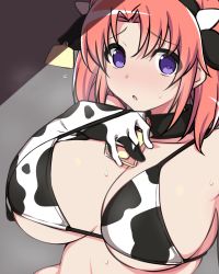 Rule 34 | 1girl, absurdres, alternate costume, animal ears, animal print, bell, bikini, blush, breasts, breath, cleavage, collar, commentary, cow ears, cow print, cowbell, detached collar, ear tag, elbow gloves, fake animal ears, gloves, grey background, hair between eyes, hand on own chest, hand under clothes, hand under swimsuit, heavy breathing, highres, kuro mushi, large breasts, looking at viewer, medium hair, mikakunin de shinkoukei, neck bell, open mouth, parted bangs, pink hair, print bikini, print gloves, purple eyes, shade, simple background, solo, sweat, sweatdrop, swimsuit, tareme, twintails, upper body, yonomori kobeni