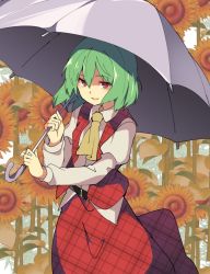 Rule 34 | 1girl, ascot, bad id, bad twitter id, belt, day, flat chest, flower, garden of the sun, green hair, hair between eyes, hasebe yuusaku, holding, holding umbrella, kazami yuuka, long skirt, long sleeves, looking at viewer, open clothes, open mouth, open vest, parasol, plaid, plaid skirt, plaid vest, puffy long sleeves, puffy sleeves, red eyes, red skirt, red vest, shirt, skirt, skirt set, smile, solo, sunflower, touhou, umbrella, unmoving pattern, untucked shirt, vest, white shirt