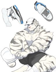 Rule 34 | 1boy, absurdres, animal ears, arknights, bara, baseball cap, dressing, fang, fang out, furry, furry male, hat, highres, huge eyebrows, large pectorals, male focus, mountain (arknights), muscular, muscular male, pectorals, scar, scar across eye, shoes, short hair, short shorts, shorts, sneakers, socks, solo, spread legs, thick eyebrows, tiger boy, tiger ears, topless male, weisun (leoooliooon), white hair